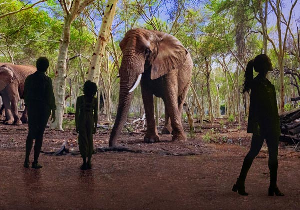 disguise and Illuminarium redefine immersive entertainment